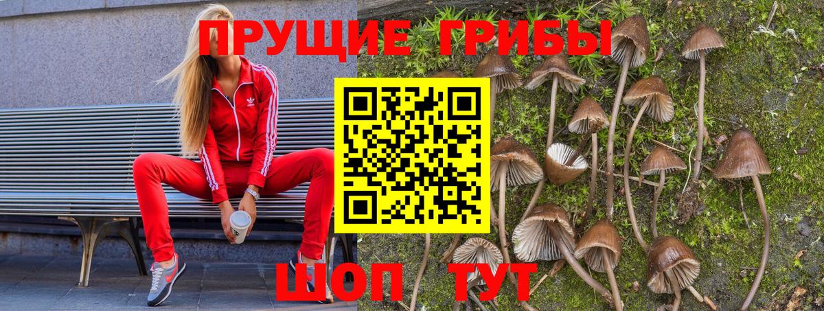 Когалым  Псилоцибиновые грибы мухоморы  Вход с VPN  хочу наркоту  Псилоцибиновые грибы GOLDEN TEACHER 