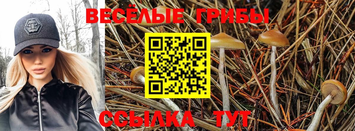 Псилоцибиновые грибы Cubensis Когалым